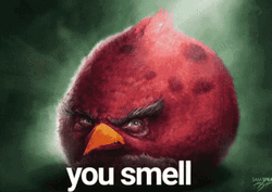 Angry Birds Stinky You Smell Red  GIF