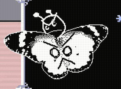 Angry Black And White Butterfly GIF