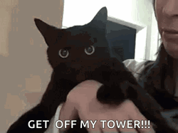 Angry Black Cat Meow Get Off My Tower GIF
