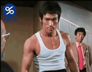 Angry Bruce Lee Hodl GIF