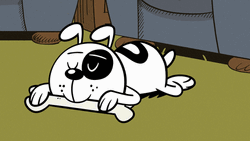 Angry Cartoon Dog Bone Snatched GIF