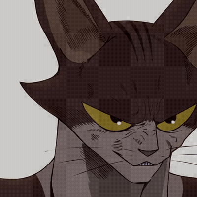 Angry Cat GIF