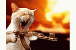 Angry Cat Screaming Firing Gun