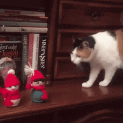 Angry Christmad Cat Sabotage GIF