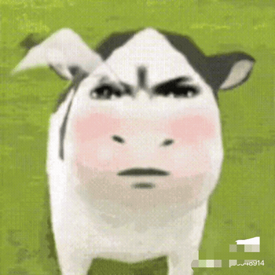 Angry Cow Hashtag 6914 GIF