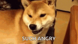 Angry Dog Doge Such Angry Meme Snarling Grr