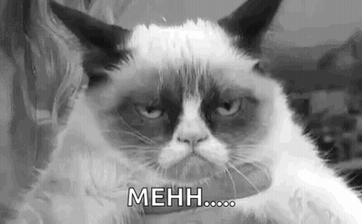 Angry Grumpy Cat In Black And White GIF