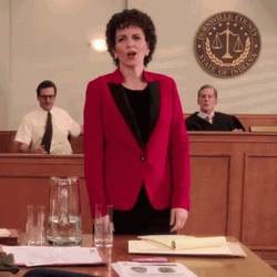Angry Lawyer In Court GIF