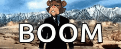 Angry Monkey Boom GIF
