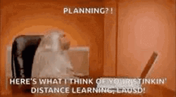 Angry Monkey Planning GIF
