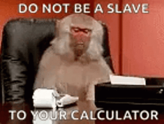 Angry Monkey Using Calculator GIF
