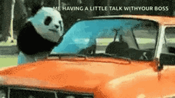 Angry Panda Bad Boss GIF