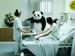 Angry Panda In The Hospital GIF 