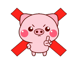 Angry Pig Saying No GIF