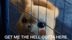 Angry Pikachu Get Me Outta Here GIF