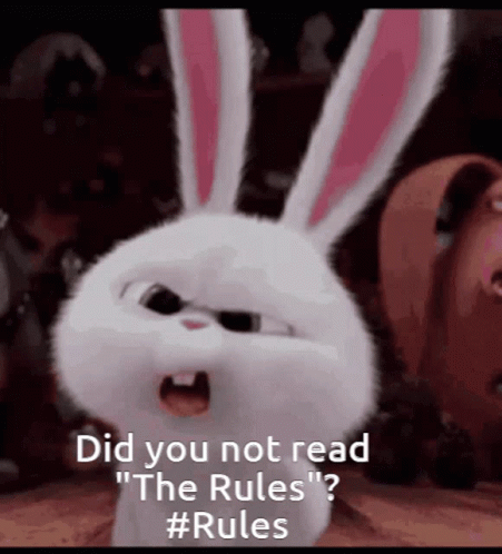 Angry Rabbit From Secret Life Of Pets Says Did You Not Read The Rules GIF