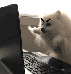 Angry Typing Dog