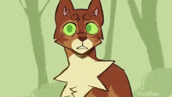 Angry Warrior Cats Moment GIF