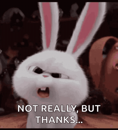 Angry White Rabbit Secret Life Of Pets Not Really But Thanks GIF