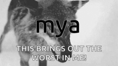 Angry White Stuffed Animal GIF