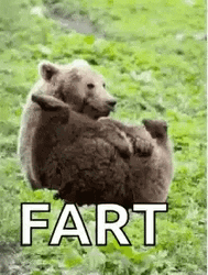 Animal Bear Fart