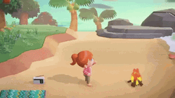 Animal Crossing Beach Gameplay