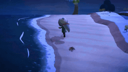 Animal Crossing Spider Beach Chase
