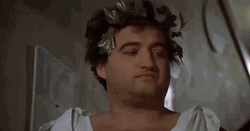 Animal House Bluto Blutarsky Sorry GIF