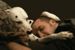 Animal Hug Human Pet Cuddle