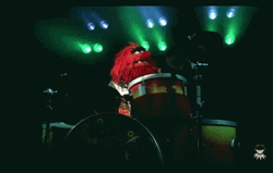 Animal Playing Drums Beaker Muppets GIF