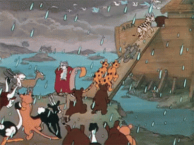 Animals Before Ark In Rain GIF