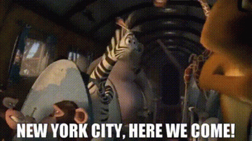Animals In Car Saying New York City GIF