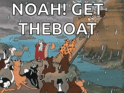 Animals On Boat GIF