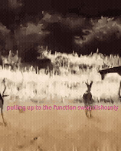 Animals Pulling Up Swagaliciously GIF