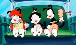 Animaniacs Characters In The Backseat GIF