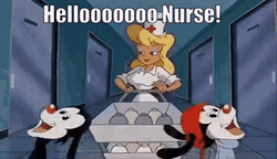Animaniacs Hello Nurse
