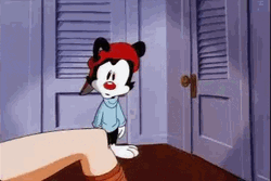 Animaniacs Looking At Woman's Legs