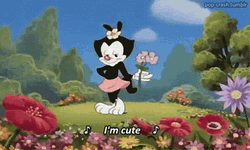 Animaniacs Tumblr Flower I'm Cute GIF
