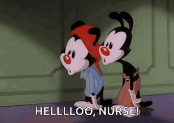 Animaniacs Yakko And Wakko GIF