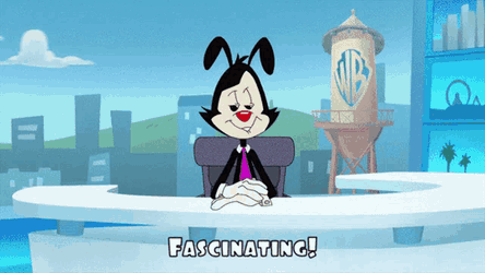 Animaniacs Yakko Warner GIF