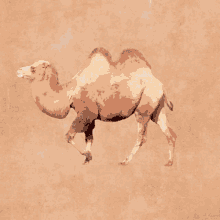 Animated Art Hump Day Camel  GIF