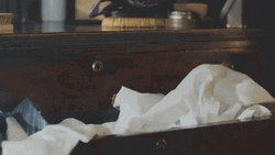 Animated Baby Meerkat Glimpsing Around GIF