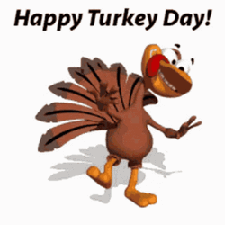 Animated Bird Dancing Turkey Day GIF