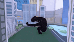 Animated Black Cat Spinning Rapidly GIF