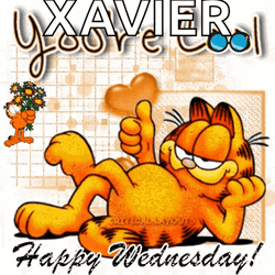 Animated Blessed Wednesday Garfield GIF