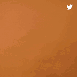 Animated Bold Calligraphy Thats Cold GIF