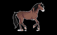 Animated Brown Horse Running