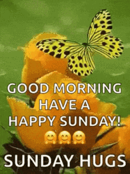 Animated Butterfly Happy Morning Sunday Hugs GIF