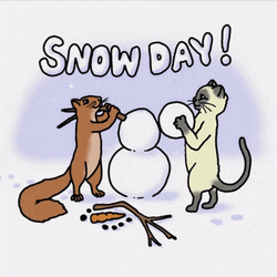 Animated Cat And Squirrel Enjoying Snow Day GIF