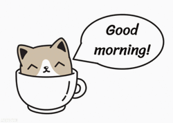 Animated Cat Cup Good Morning GIF